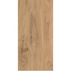 Πλακάκι Anima Brown 60Χ120 Καφέ Ματ